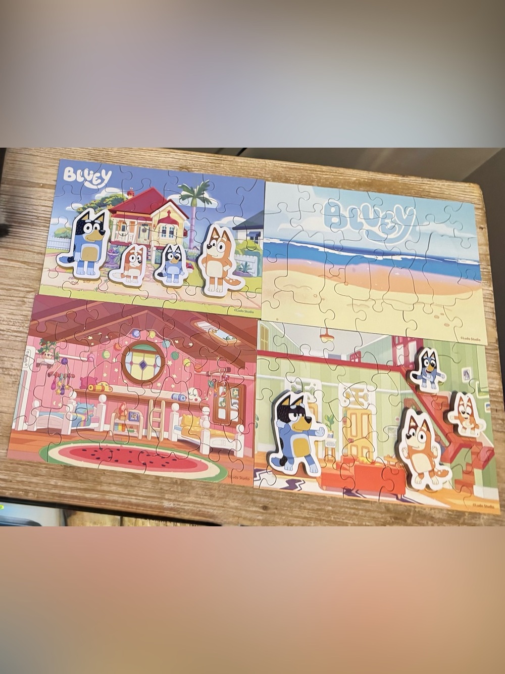 4 Wooden Bluey Puzzles with 8 interchangeable Wooden Bluey Characters.